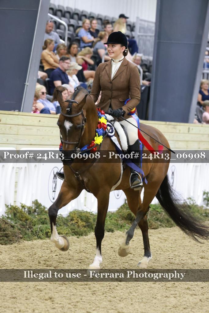 Proof 24R13_06908