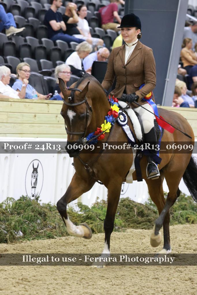 Proof 24R13_06909