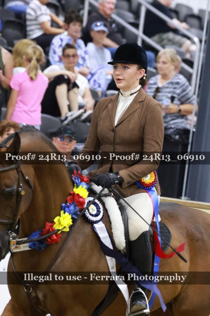 Proof 24R13_06910