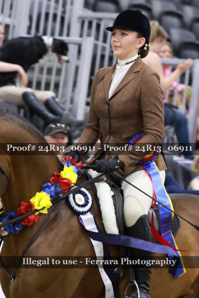 Proof 24R13_06911