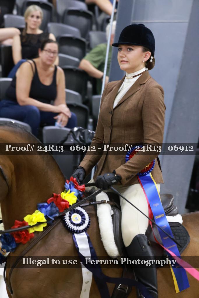 Proof 24R13_06912