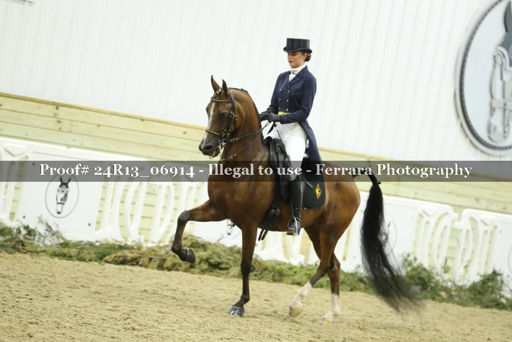Proof 24R13_06914