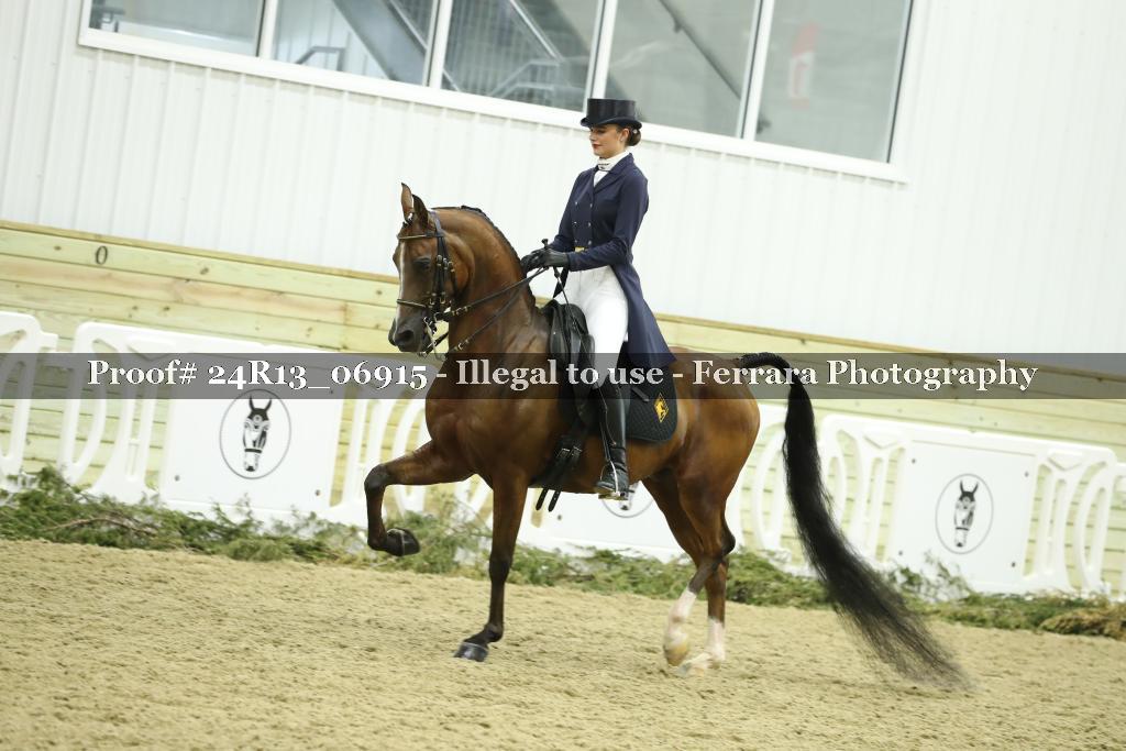 Proof 24R13_06915