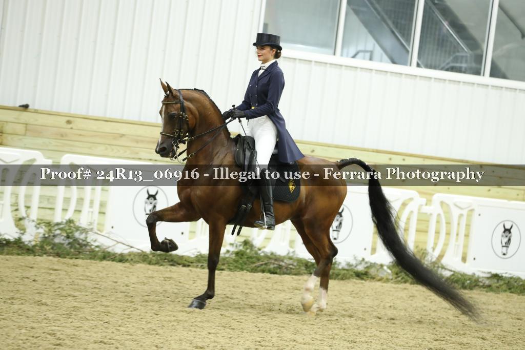 Proof 24R13_06916