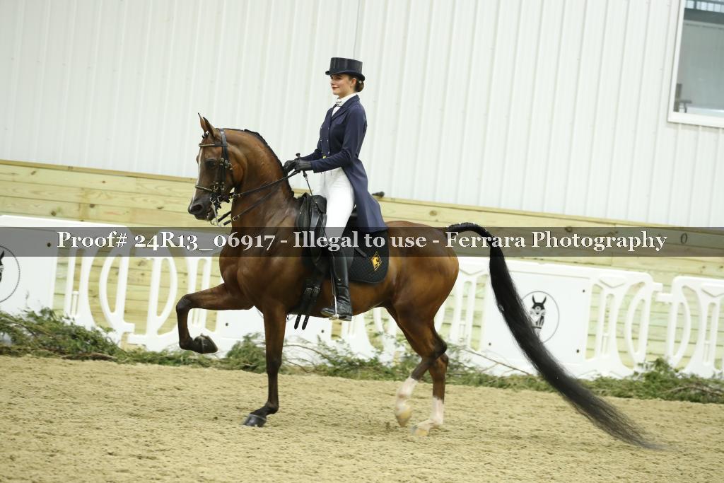 Proof 24R13_06917