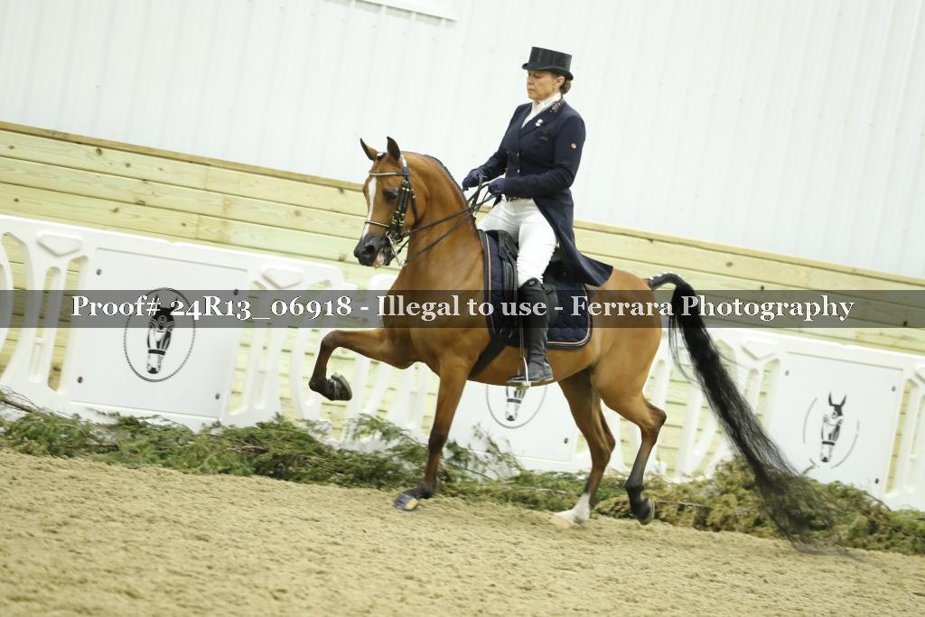 Proof 24R13_06918