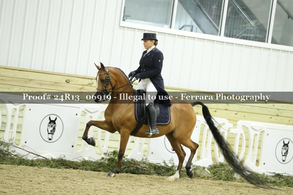 Proof 24R13_06919