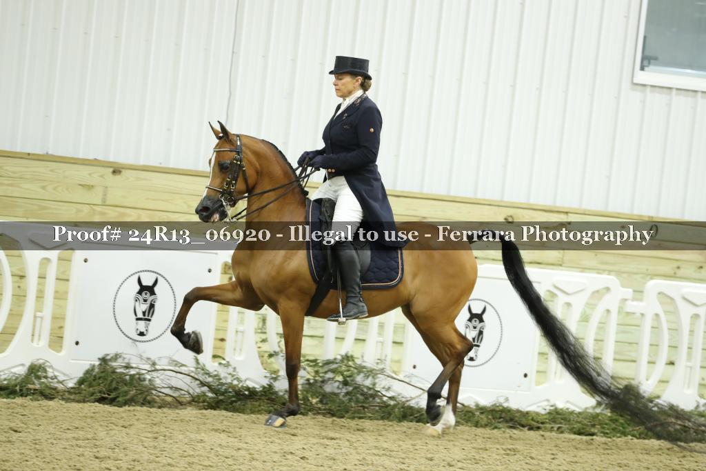 Proof 24R13_06920