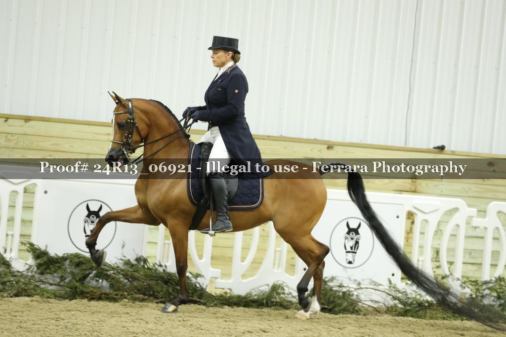 Proof 24R13_06921