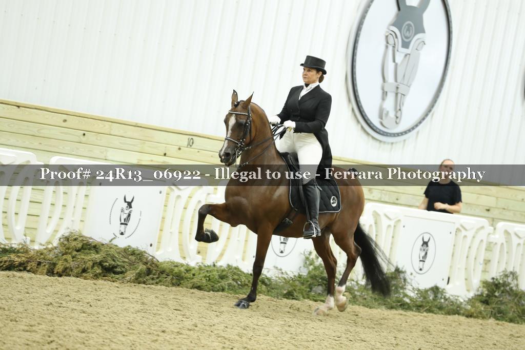 Proof 24R13_06922