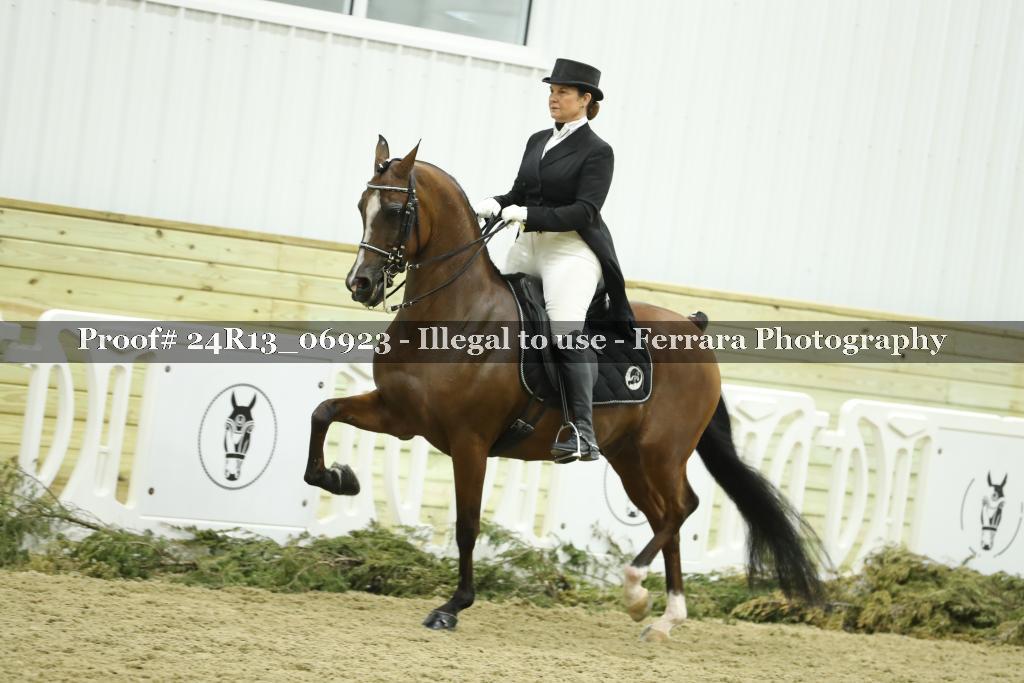 Proof 24R13_06923
