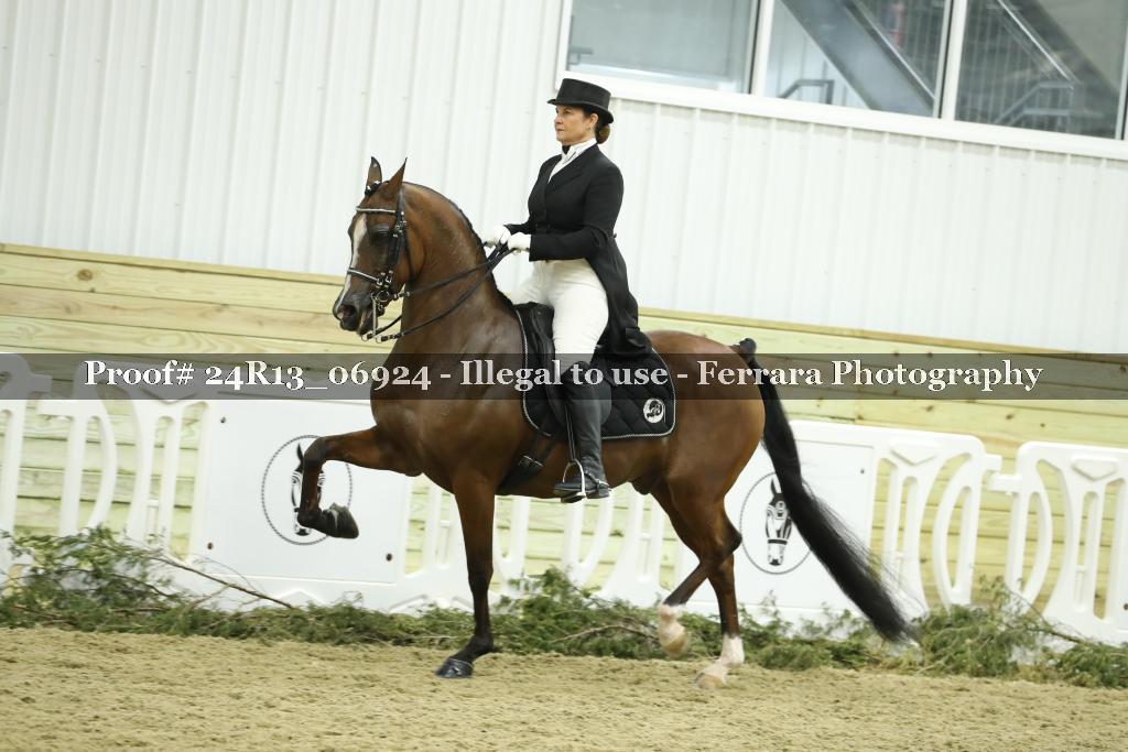 Proof 24R13_06924