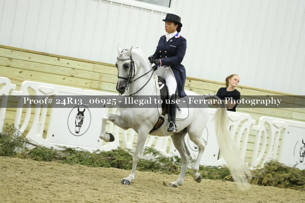 Proof 24R13_06925
