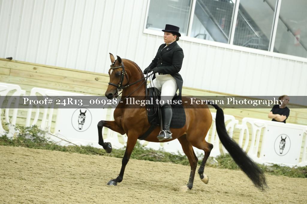 Proof 24R13_06928