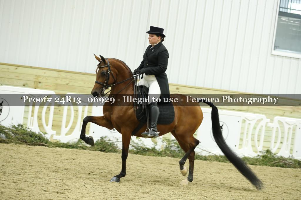 Proof 24R13_06929