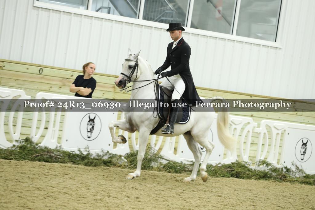 Proof 24R13_06930