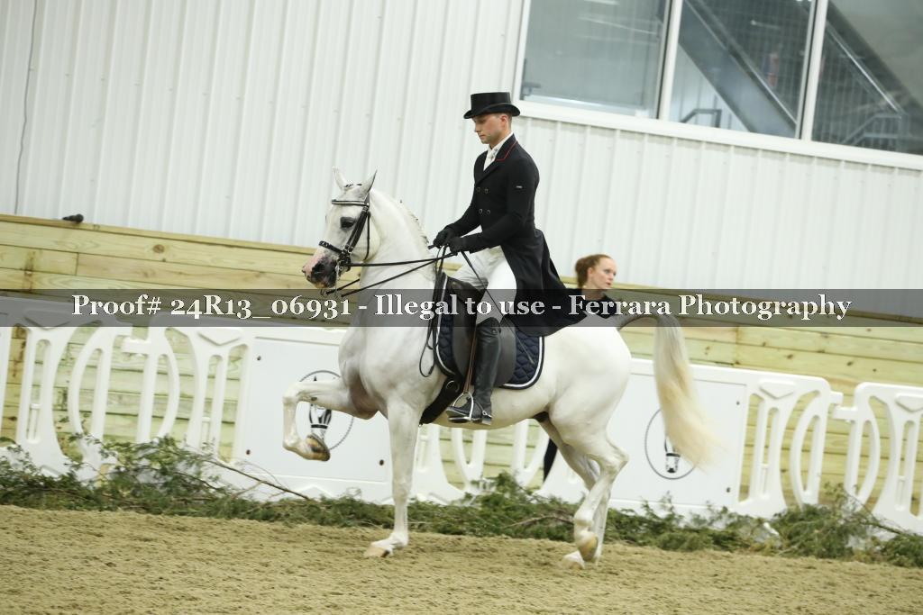 Proof 24R13_06931