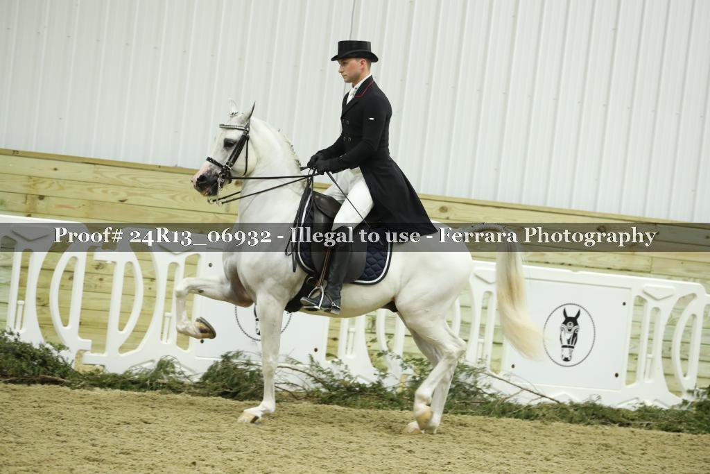Proof 24R13_06932