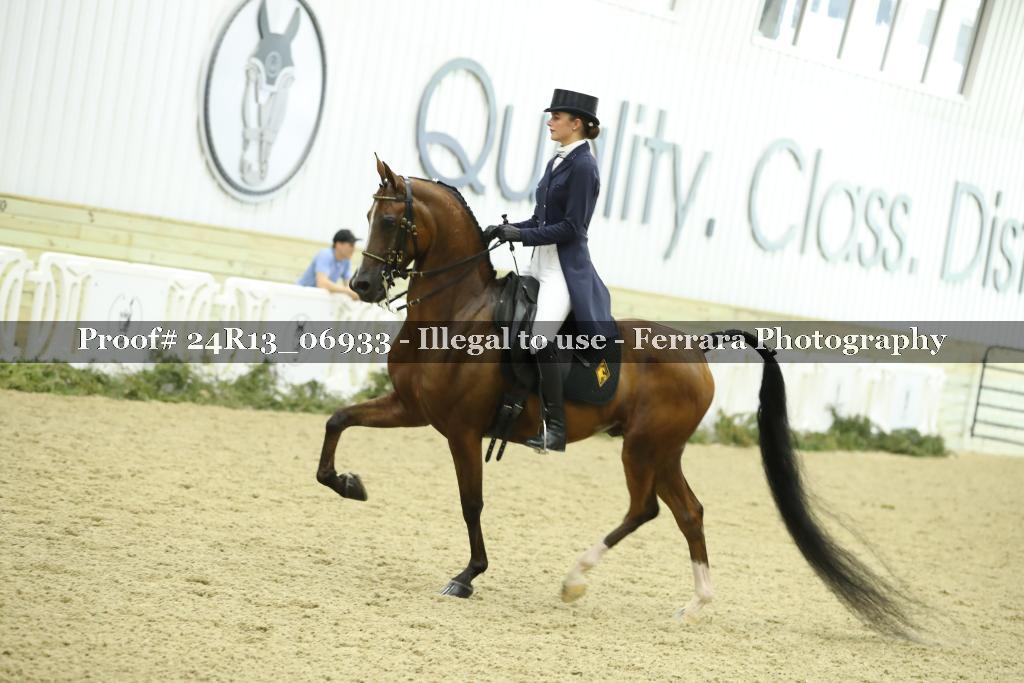 Proof 24R13_06933
