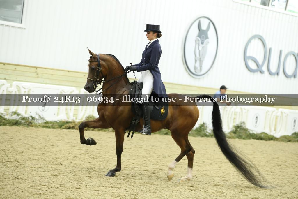 Proof 24R13_06934