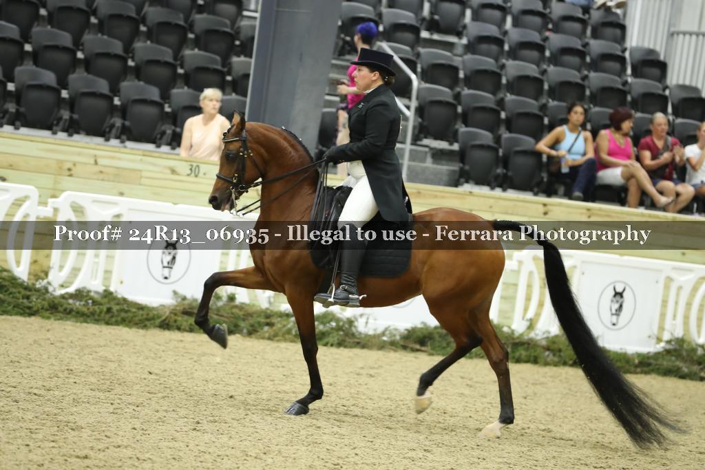 Proof 24R13_06935