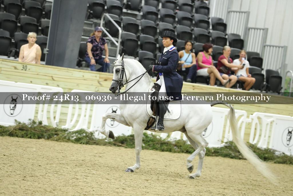 Proof 24R13_06936