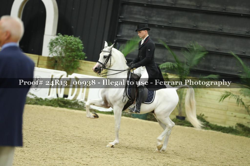 Proof 24R13_06938