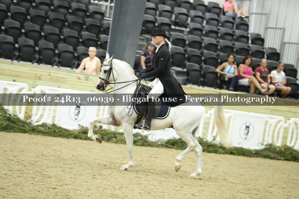 Proof 24R13_06939