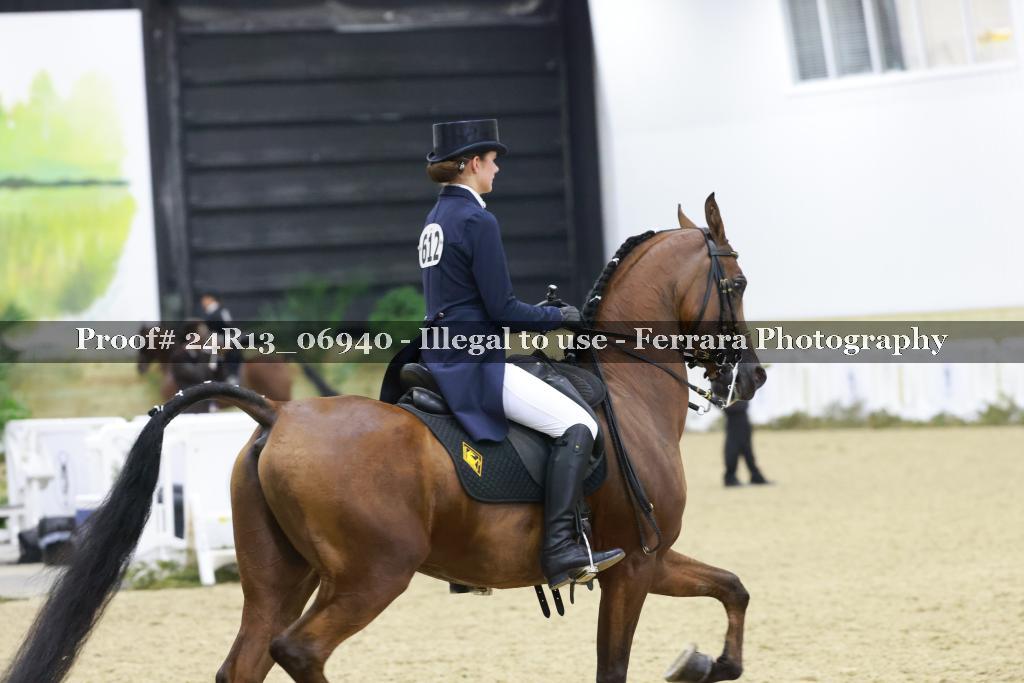 Proof 24R13_06940