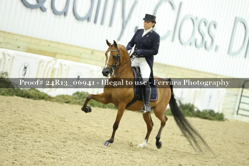 Proof 24R13_06941