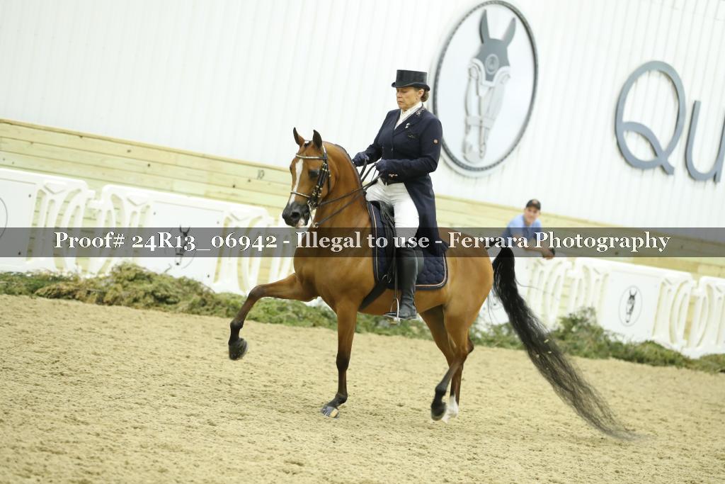 Proof 24R13_06942