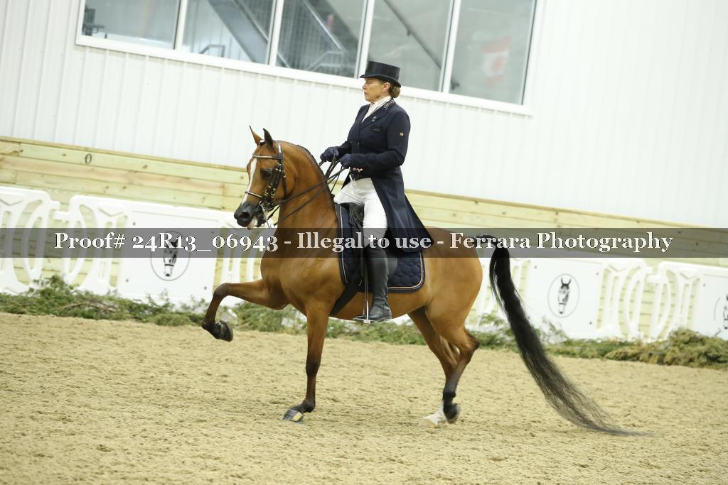 Proof 24R13_06943