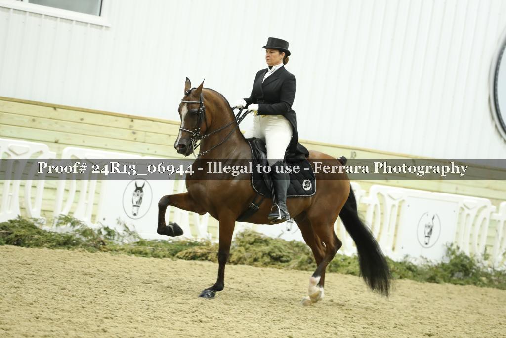 Proof 24R13_06944