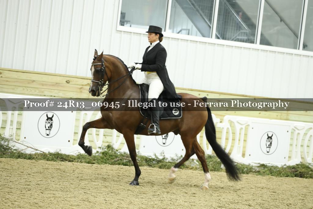 Proof 24R13_06945