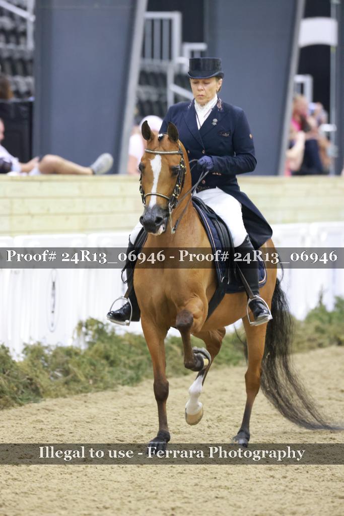 Proof 24R13_06946