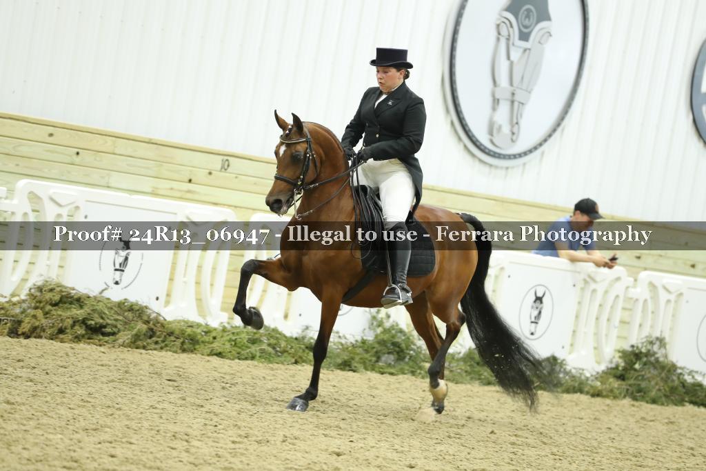 Proof 24R13_06947
