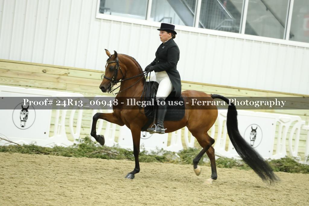 Proof 24R13_06948