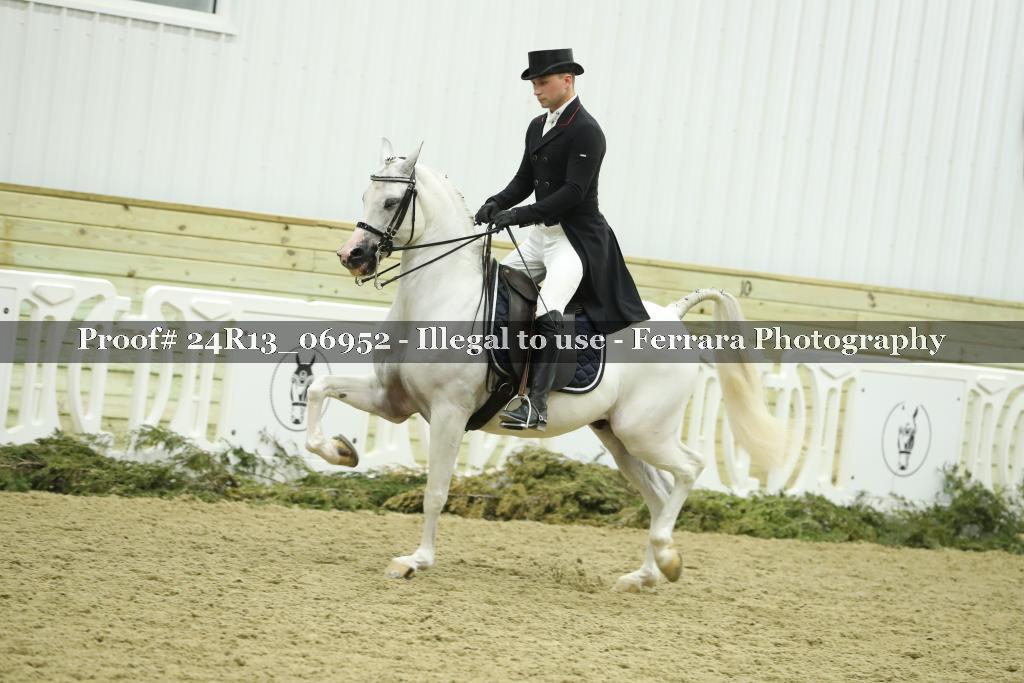 Proof 24R13_06952