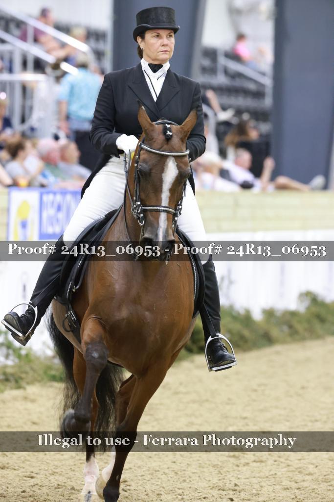 Proof 24R13_06953
