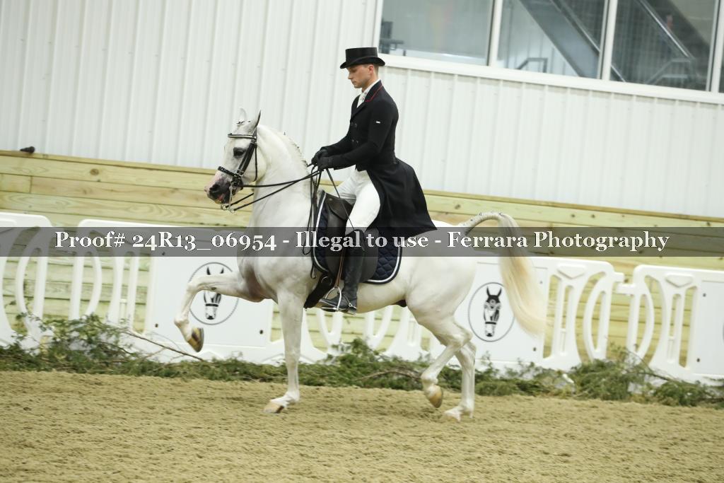 Proof 24R13_06954