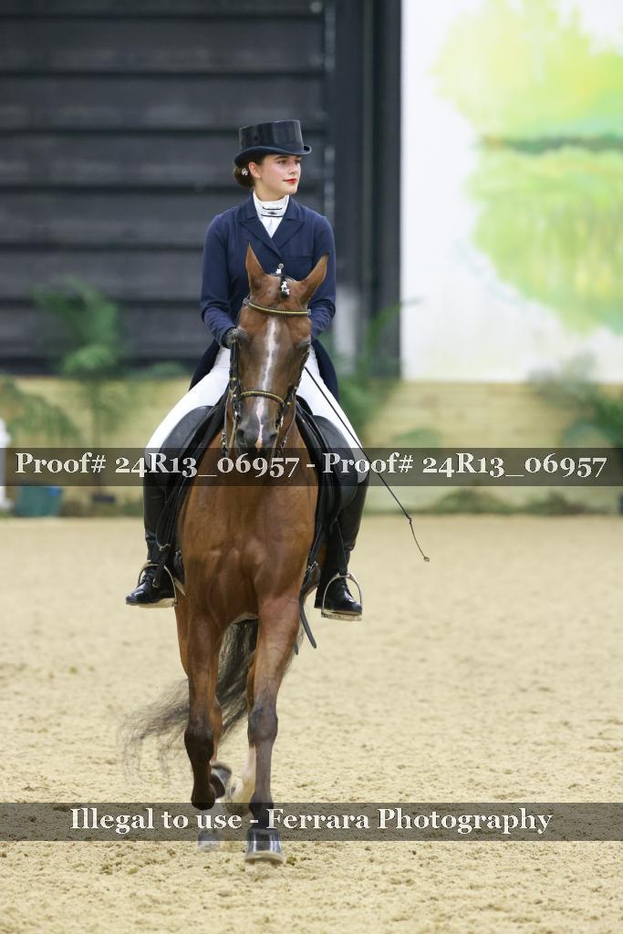 Proof 24R13_06957