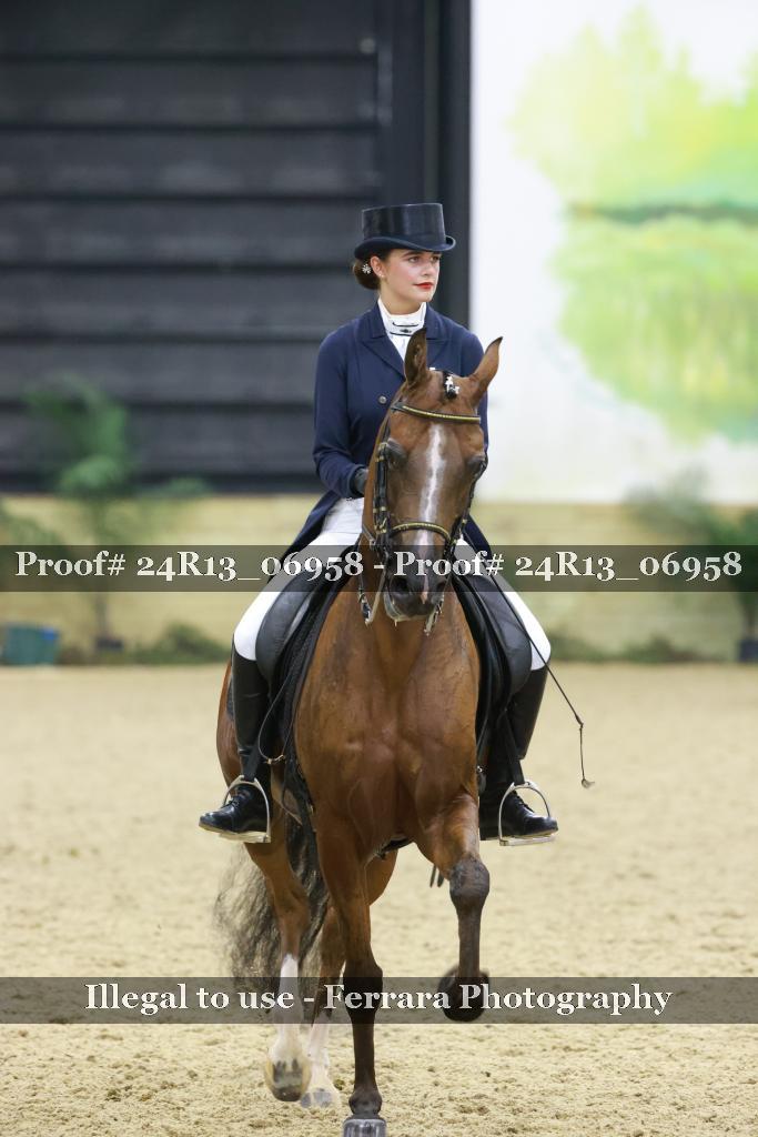 Proof 24R13_06958