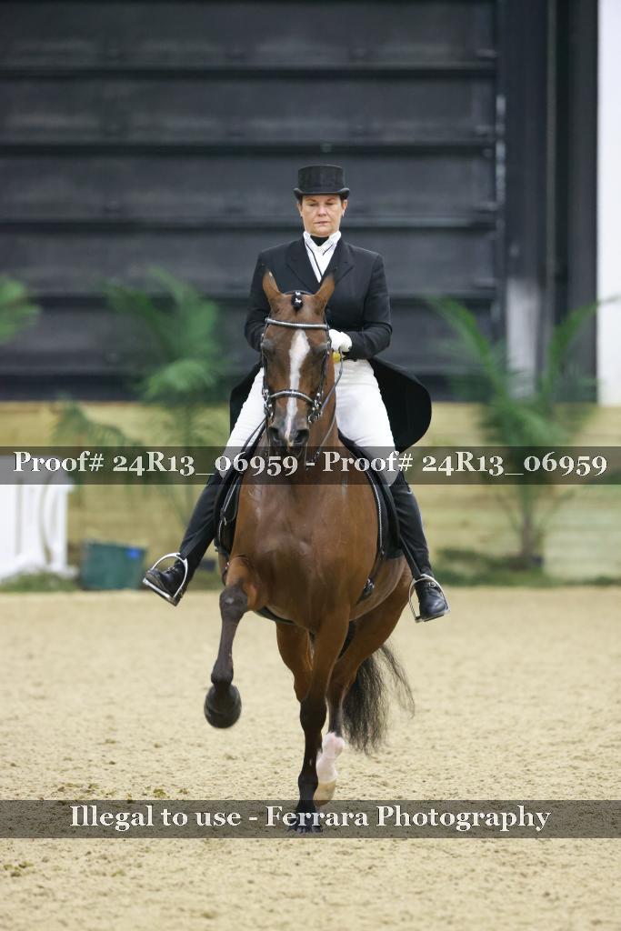 Proof 24R13_06959