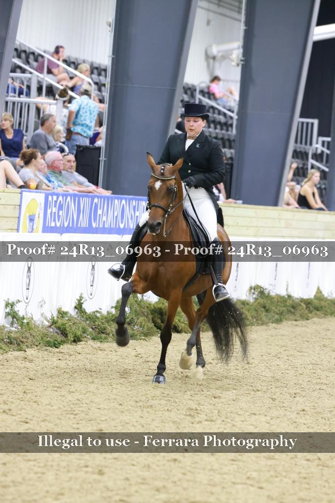Proof 24R13_06963