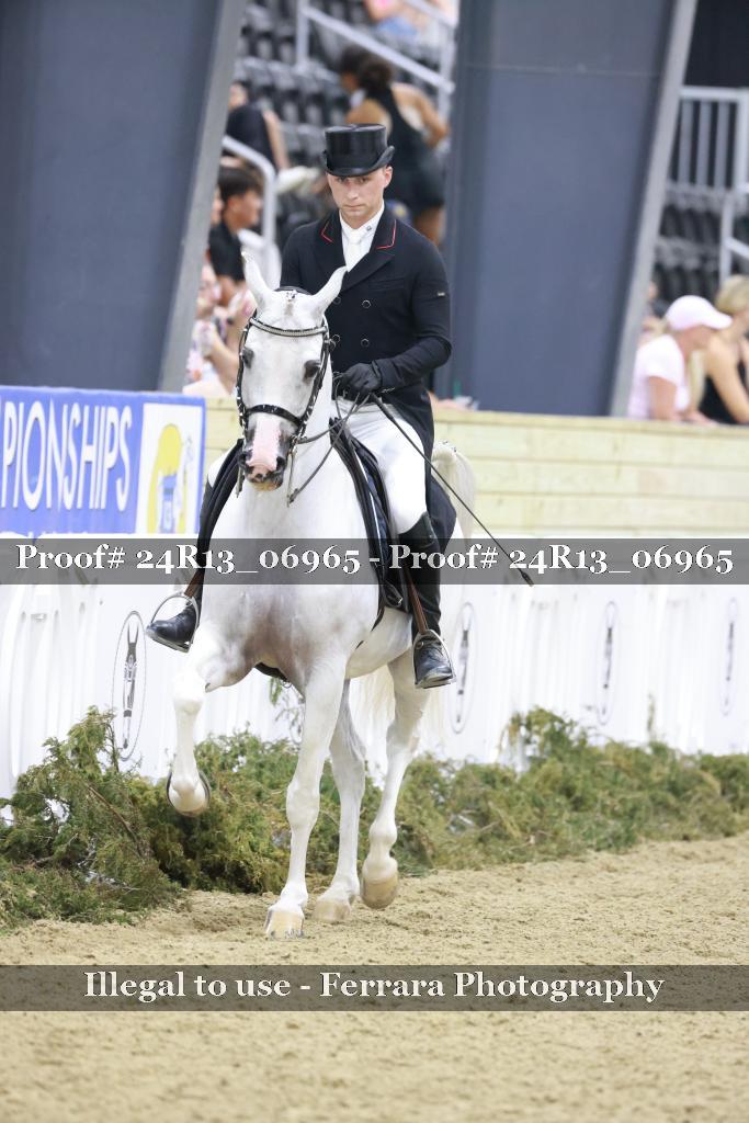 Proof 24R13_06965