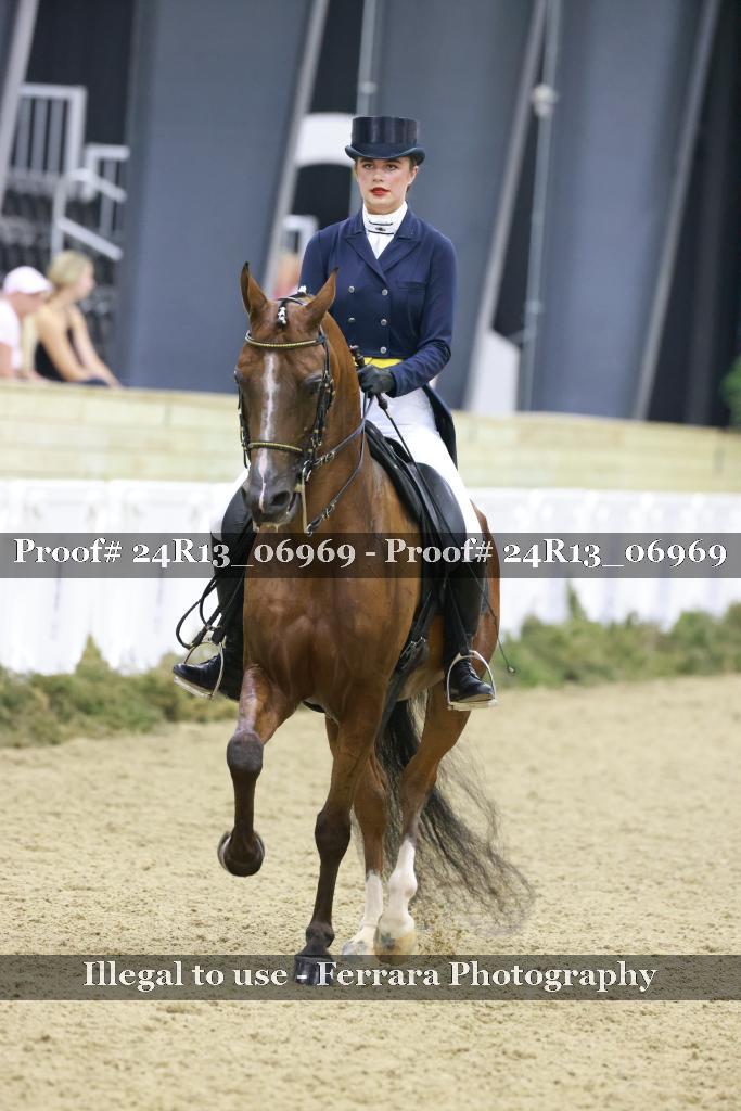 Proof 24R13_06969