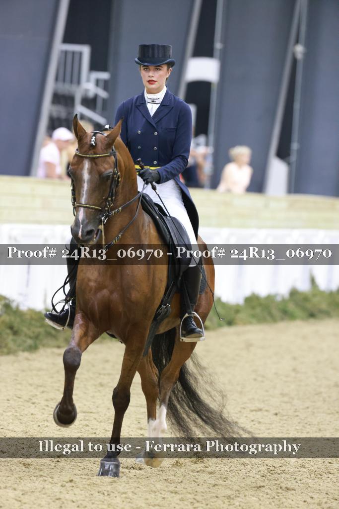 Proof 24R13_06970