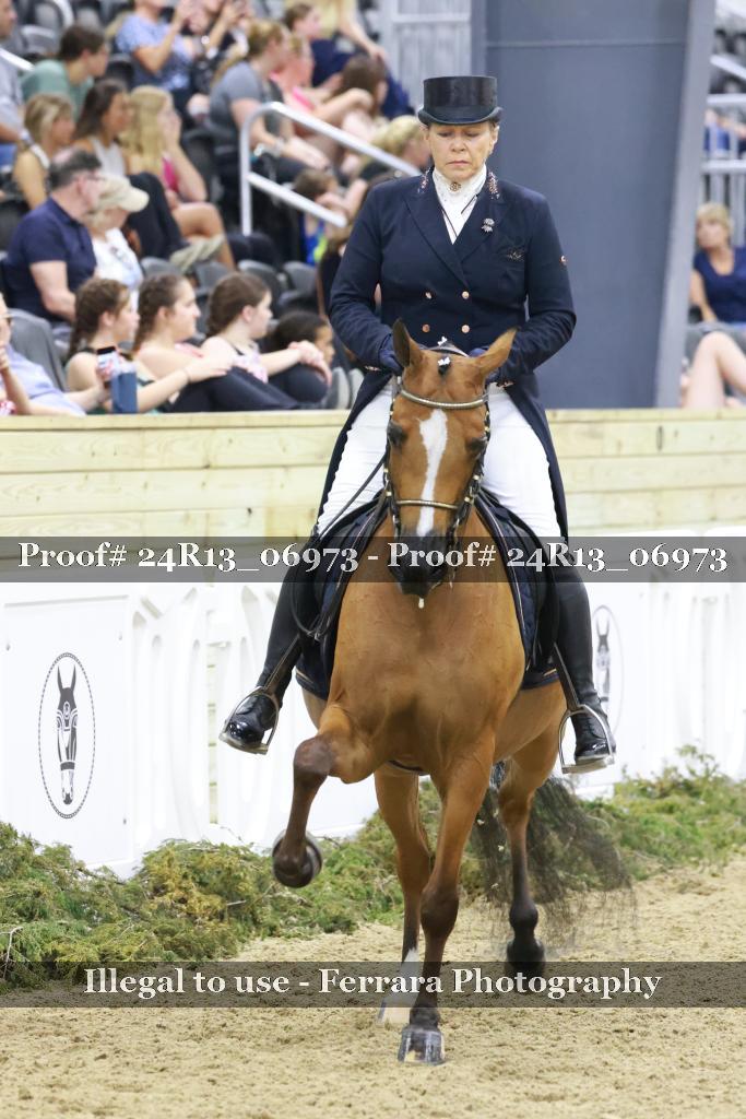 Proof 24R13_06973