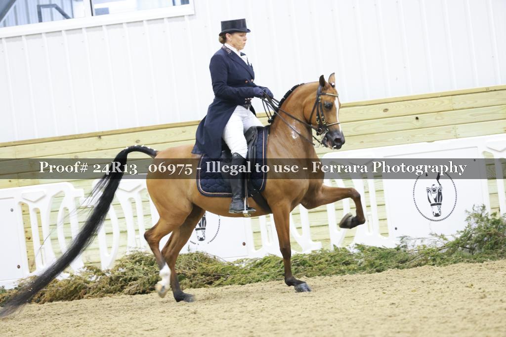 Proof 24R13_06975