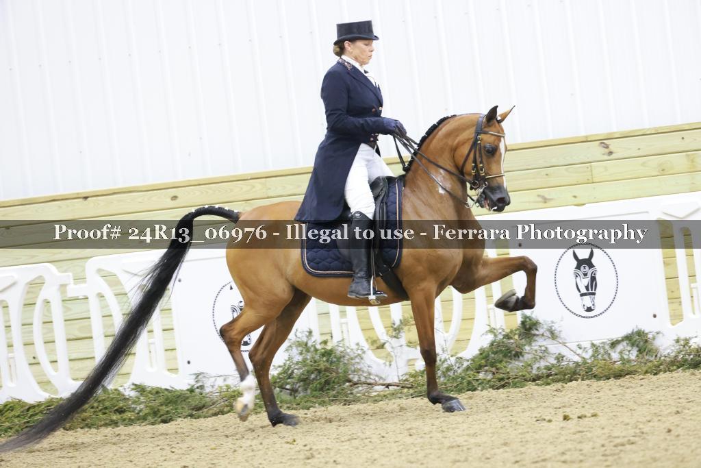 Proof 24R13_06976